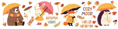 Çocuk tarzında bir dizi düz vektör çizimi. Yağmurluklu ve şemsiyeli şirin hayvanlar. Kirpi tilki ayı rakun tavşanı yağmurda, dökülen yapraklar. Sonbahar temalı yazıtlar ve harfler
