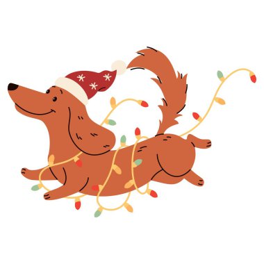 Çocuk tarzında düz vektör çizimi. Noel Baba şapkalı şirin dachshund çelenge dolanmış. Noel illüstrasyonu. Vektör illüstrasyonu