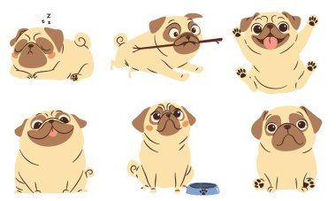 Basit bir çocuk tarzında bir dizi düz vektör çizimi. Pug cinsinin sevimli komik köpekleri beyaz arka planda farklı pozlarda. Vektör illüstrasyonu