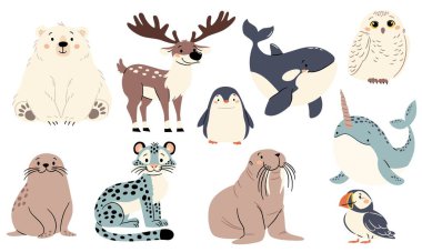 Basit bir çocuk tarzında düz vektör çizimlerinin vektör kümesi. Kuzey kutbunun sevimli hayvanları. Kutup ayısı mors pengueni kar leoparı fok balığı kutup baykuşu deniz gergedanı. Vektör illüstrasyonu