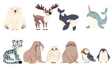 Basit bir çocuk tarzında düz vektör çizimlerinin vektör kümesi. Kuzey kutbunun sevimli hayvanları. Kutup ayısı mors pengueni kar leoparı fok balığı kutup baykuşu deniz gergedanı. Vektör illüstrasyonu