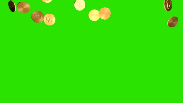 Gouden Munten Bitcoins Vallen Tegen Achtergrond Van Chroma Sleutel Animatie — Stockvideo