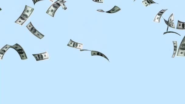 Billetes 100 Dólares Sobre Fondo Azul Efectos Lluvia Animación Dinero — Vídeo de stock