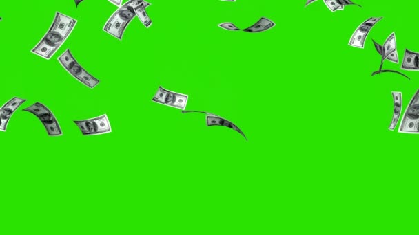 100 Dollar Scheine Green Screen Regeneffekte Animation Geld Regen Geschäftsanimation — Stockvideo