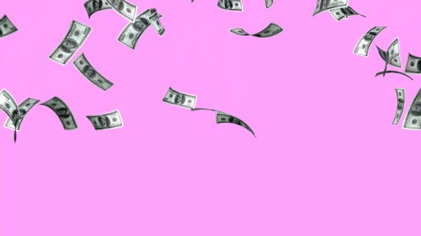 100 Δολάρια Λογαριασμοί Ροζ Φόντο Επιδράσεις Βροχής Animation Money Rain — Αρχείο Βίντεο