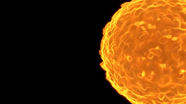 太阳之星的3D动画 太阳的近照 一颗燃烧的星辰 有火焰的舌头 — 图库视频影像