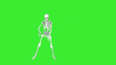 Skeleton is dancing, isolated on a green screen. 3D animation for Halloween. All Saints Day