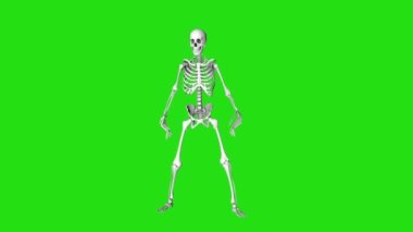 Skeleton zombie looks around. Creepy skeleton with long fingers. Halloween video. 3D animation on a green screen. All Saints Day