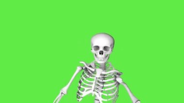 Skeleton zombie walks limping. Creepy skeleton close-up. Video Halloween. 3D animation on a green screen. All Saints Day