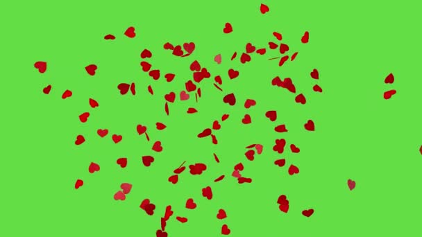 緑の画面上の赤い心の爆発 ハート コンフェッティ バレンタインデーのお祝いの効果 3Dアニメーション — ストック動画
