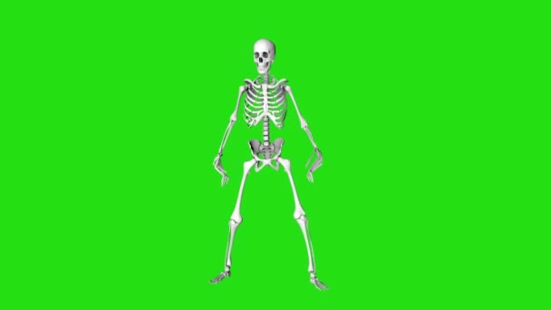 Скелет Зомби Оглядывается Вокруг Жуткий Скелет Длинными Пальцами Видео Хэллоуин — стоковое видео