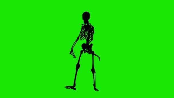 スケルトンゾンビシルエット歩く 長い指を持つ不気味な骨格 緑の画面上の3Dアニメーション 聖人の日 — ストック動画