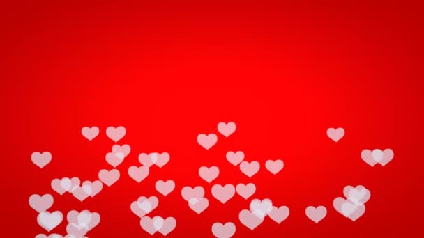 Transparent White Hearts Float Red Festive Background Animation Valentine Day — Stok video