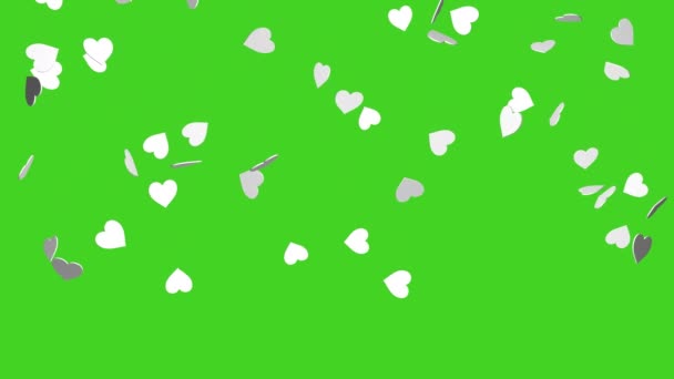 クロマキーの背景に白い心が落ちます アニメーションの3Dレンダリング バレンタインデーや結婚式のためのビデオ効果 緑の画面だ 心の雨 — ストック動画