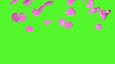 Falling big pink hearts on a chroma key background. 3D animation. Video effect for valentine's day and weddings. Green screen. Rain from hearts.