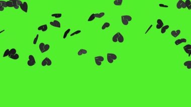Falling black broken hearts on a green screen background. 3D render animation. Video effect for valentine's day and wedding. Green screen. Rain from hearts.