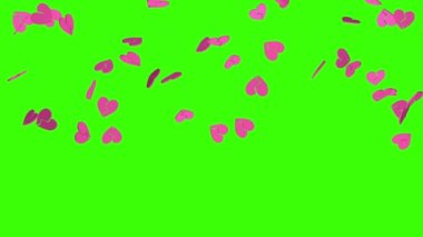 Falling pink broken hearts on a green screen background. 3D render animation. Video effect for valentine's day and wedding. Green screen. Rain from hearts.