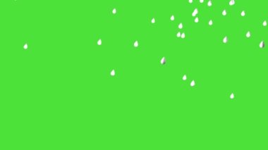 Cartoon raindrops on a green screen. 3D animation, chroma key