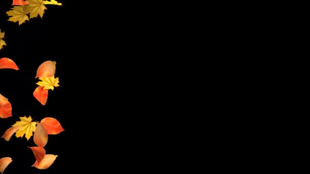 Осенняя Муха Черном Фоне Анимация Падения Листьев Осенняя Концепция Смена — стоковое видео