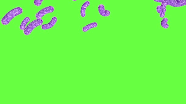 細菌は緑色の画面で雨が降ります 3Dアニメーション 科学的概念 — ストック動画