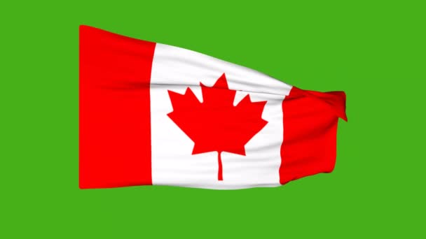 绿色屏幕上的加拿大国旗 3D动画 — 图库视频影像