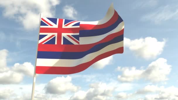 Animation State Flag Hawaii Sky Animation — 비디오