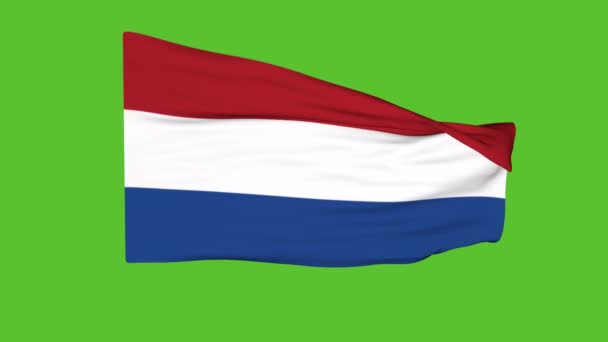 Σημαία Ολλανδίας Πράσινη Οθόνη Κινούμενα Σχέδια — Αρχείο Βίντεο