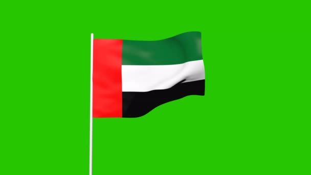 Animation Flag United Arab Emirates Green Screen Animation — Stock Video
