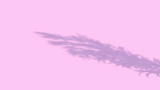 在粉色背景上的植物的影子 在风中摇曳 3D动画 — 图库视频影像