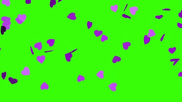 クロマキーの背景に紫色の心の下落 3Dアニメーション バレンタインデーや結婚式のためのビデオ効果 緑の画面だ 心の雨 — ストック動画