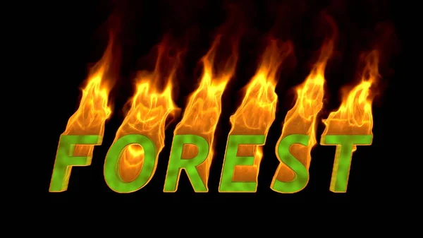Das Wort Wald Steht Flammen Waldbrandkonzept Die Globale Erwärmung Umweltschutz — Stockfoto