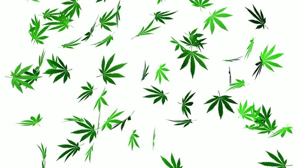 Pozostawia Marihuanę Białym Tle Marihuana Odchodzi Zielony Szczyt Renderowanie — Zdjęcie stockowe