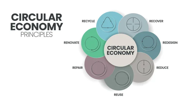 Circular Economy Principles Concept Economic Sustainability Production Consumption Has Steps — Stock Vector