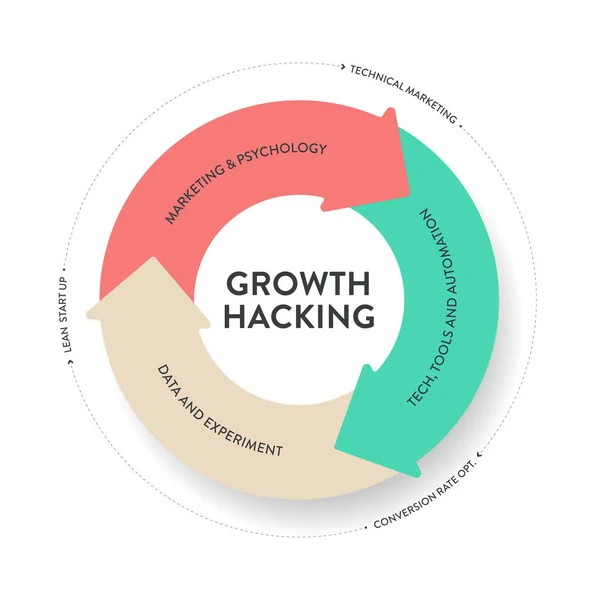Growth Hacking Analiza Estrategia Datos Diagrama Infográfico Presentación Banner Template — Vector de stock