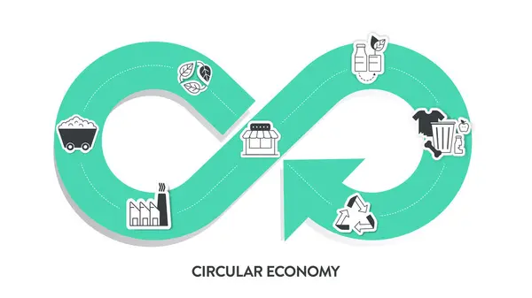 Circular Economy Infographic Diagram Steps Analyse Manufacturing Packaging Distribution User — Stock Vector