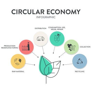 Dairesel Ekonomi Stratejisi Infografik Şablon Şablon Şablon Vektörü hammadde, tasarım, üretim, yeniden yapılanma, dağıtım, tüketim, toplama, geri dönüşüme sahiptir. İş pazarlama vektörü.