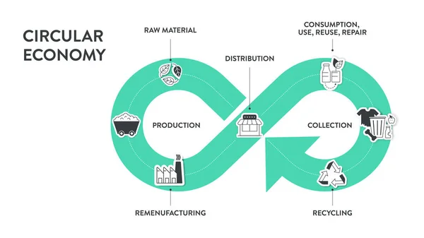 Circular Economy Infographic Diagram Steps Analyse Manufacturing Packaging Distribution User — Stock Vector
