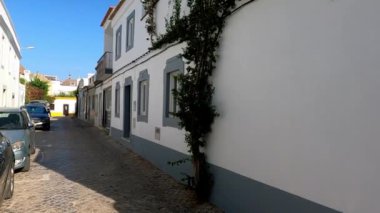 İspanya 'nın Ayamonte kentinde bulunan yemyeşil çiçekli eski İspanyol tarzı bir evin 4K videosu..