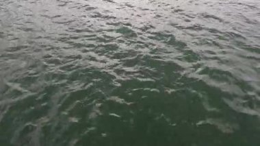 Okyanusta tuzlu su, yumuşak dalgalar içeri giriyor ve güneş ışığı altında parlıyor. Denizin enginliği ve ritmik çöküntü ve su akışı sakin ve rahatlatıcı bir atmosfer yaratır. Okyanusla ilgili konular için mükemmel.