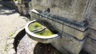 Eski bir Avrupa çeşmesinin yer aldığı bu büyüleyici videolarla zamanda geri git. Bu güzel çekim klipleri, çoğu zaman Avrupa 'nın pitoresk bir meydanında ya da bahçesinde geçen klasik bir çeşmenin karmaşık tasarımı ve tarihi cazibesini vurgular..