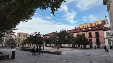 Parktaki yeşil ağaçların huzur verici güzelliğinin tadını çıkarın. Huzurlu ve ferahlatıcı bir ortam yaratın. Rahatlamak ve doğa severler için mükemmel.. 