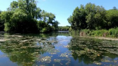 Kristal Berrak Göl Ekosistemleri 'ni keşfederek berrak sularda bir yolculuğa çıkarak, canlı su canlılarının el değmemiş ortamlarda yaşadığı göl ekosistemlerinin güzelliğini ve karmaşıklığını ortaya çıkarıyor..