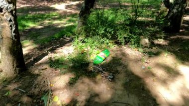 Orman Kirliliği: Plastik Atık Muayenesinin Etkisi, doğanın kirlilikle gölgelendiği ormanlardaki artan plastik atık sorunu, insan ihmalkarlığının çevresel sonuçlarını vurguluyor.