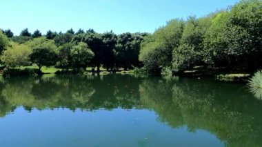 Sakin bir gölün ortasında sakin bir göl, sakin suların etrafındaki ağaçları yansıttığı, huzurlu ve meditasyon yapan doğal bir kaçış yaratan sakin bir göl..