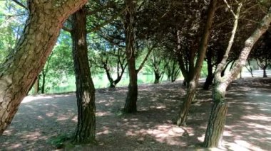 Altın Yansımalar: Porto 'nun Sahili' nde güneş ışığı Uzak Tecrübe Şehrinde şehir manzarası ile birlikte Porto 'nun sahil şeridinin büyüleyici güzelliği, arka planda parlak şehir silüeti ile plajın altın kumlarından yansıyor.. 