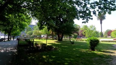 Huzurlu Sular: Ördeklerin, kuşların ve Geeseim 'in Serene Senfonisi, ördeklerin, kuşların ve kazların zarif bir şekilde süzülerek durgun sularda süzüldükleri 