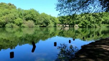 Huzurlu Sular: Ördeklerin, kuşların ve Geeseim 'in Serene Senfonisi, ördeklerin, kuşların ve kazların zarif bir şekilde süzülerek durgun sularda süzüldükleri 
