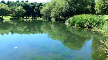 Vintage Vibes: PortoStep 'in Geleneksel Sokakları Zamanda Geri Git ve Portos' un geleneksel sokaklarının nostaljik cazibesine kendini bırak. Bu video Portos 'un tarihi mimarisinin özünü kaldırım taşlı sokaklarıyla yakalıyor..