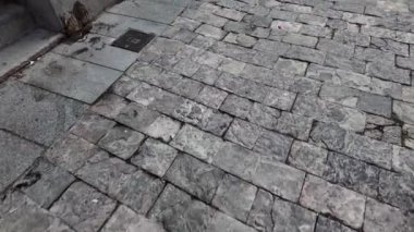 Sokaktaki yıpranmış kaya tuğlalarının yakın plan görüntüsü kaldırımın kırsal dokusunu ve tarihsel çekiciliğini gözler önüne seriyor.. 