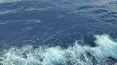 Sakin okyanus dalgalarının parlak mavi bir gökyüzü altında, huzurlu ve rahatlatıcı bir atmosfer yaratarak zarifçe hareket edişini izleyin.. 